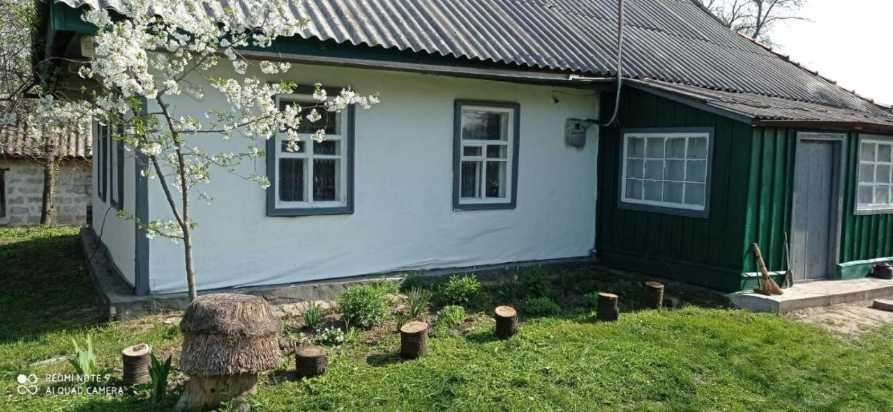 Медова Садиба Subbotiv Dış mekan fotoğraf