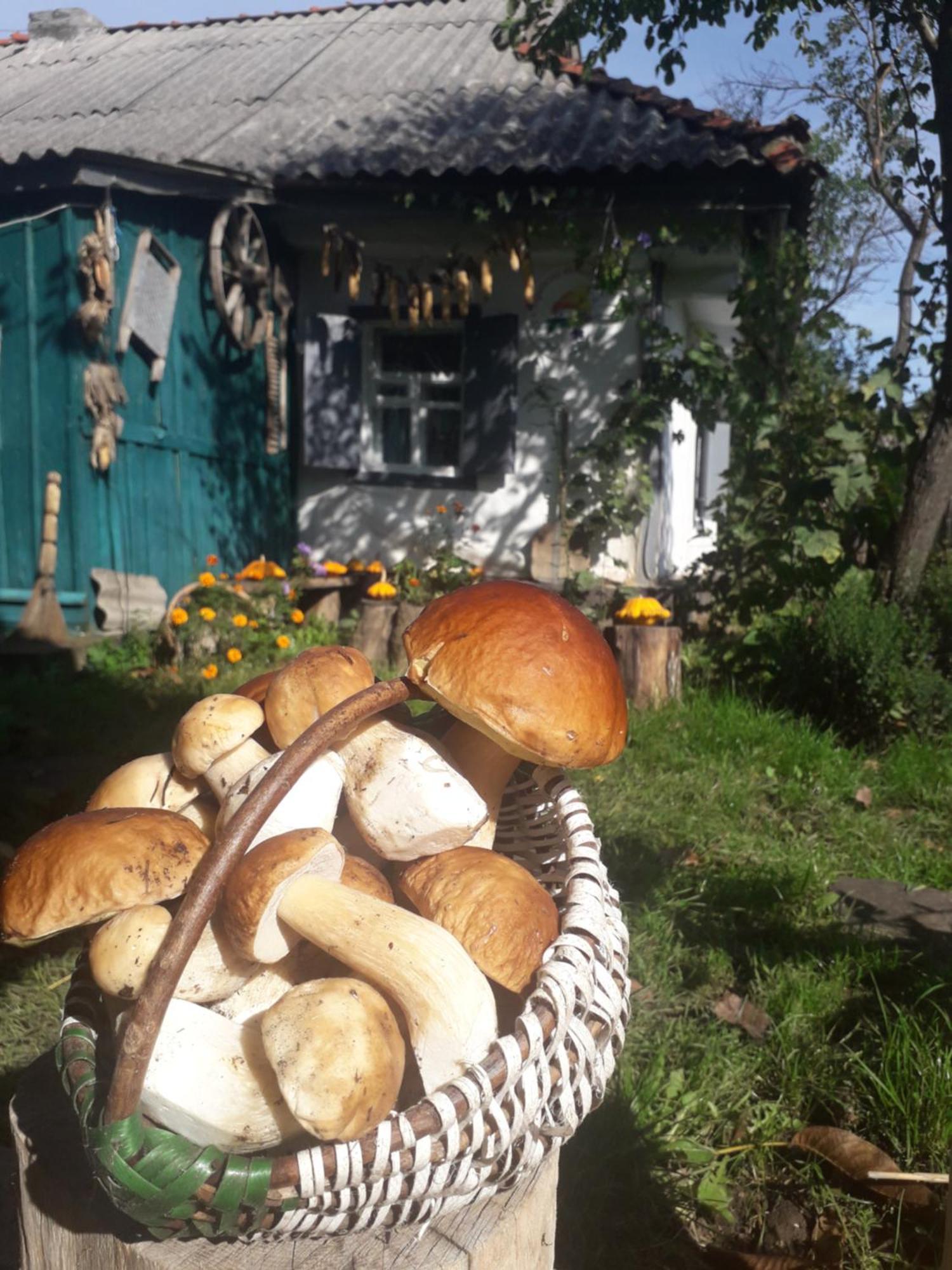 Медова Садиба Subbotiv Oda fotoğraf